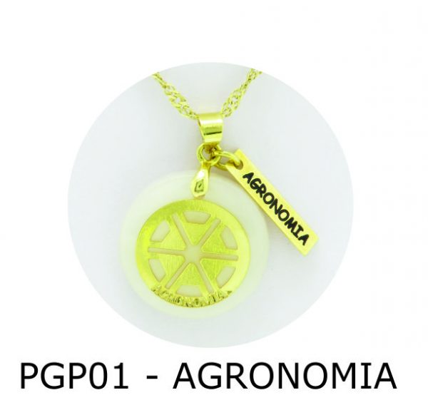 Pingente de Profissão – Agronomia com Resina - PGP01