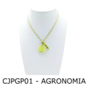 Conjunto Cordão e Pingente de Profissão Agronomia com Resina - CJPGP01