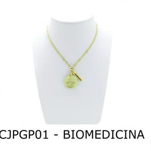 Enviado emConjunto Cordão e Pingente de Profissão Biomedicina com Resina - CJPGP01