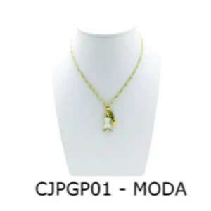 Conjunto Cordão e Pingente de Profissão Moda sem Resina - CJPGP01